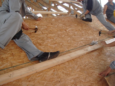 DSC02405.jpg