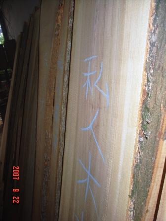 木工 028.jpg