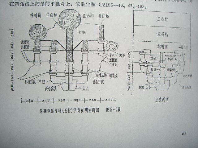 CIMG001 (10).JPG