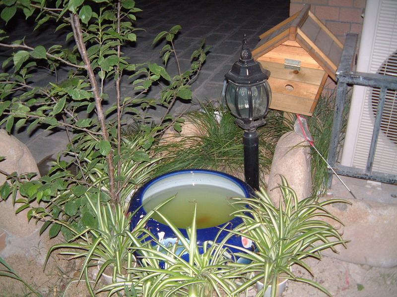 DSCF0462little.jpg