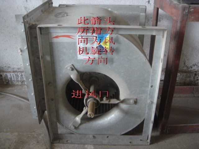 20080330_1.jpg