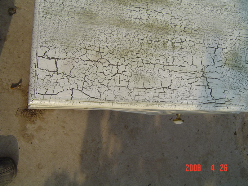 DSC02804_resize.JPG