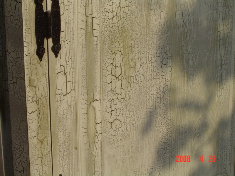 DSC02802_resize.JPG