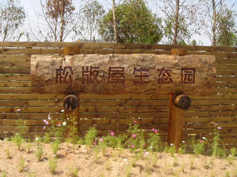 DSC00256.JPG