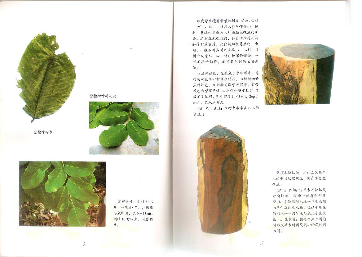 紫檀6 副本.jpg