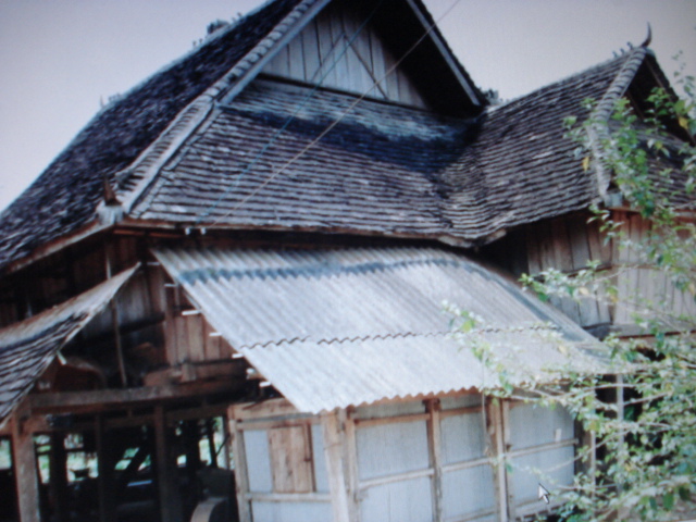 DSC01037.JPG