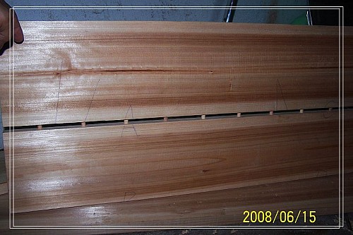 17164677_h.jpg