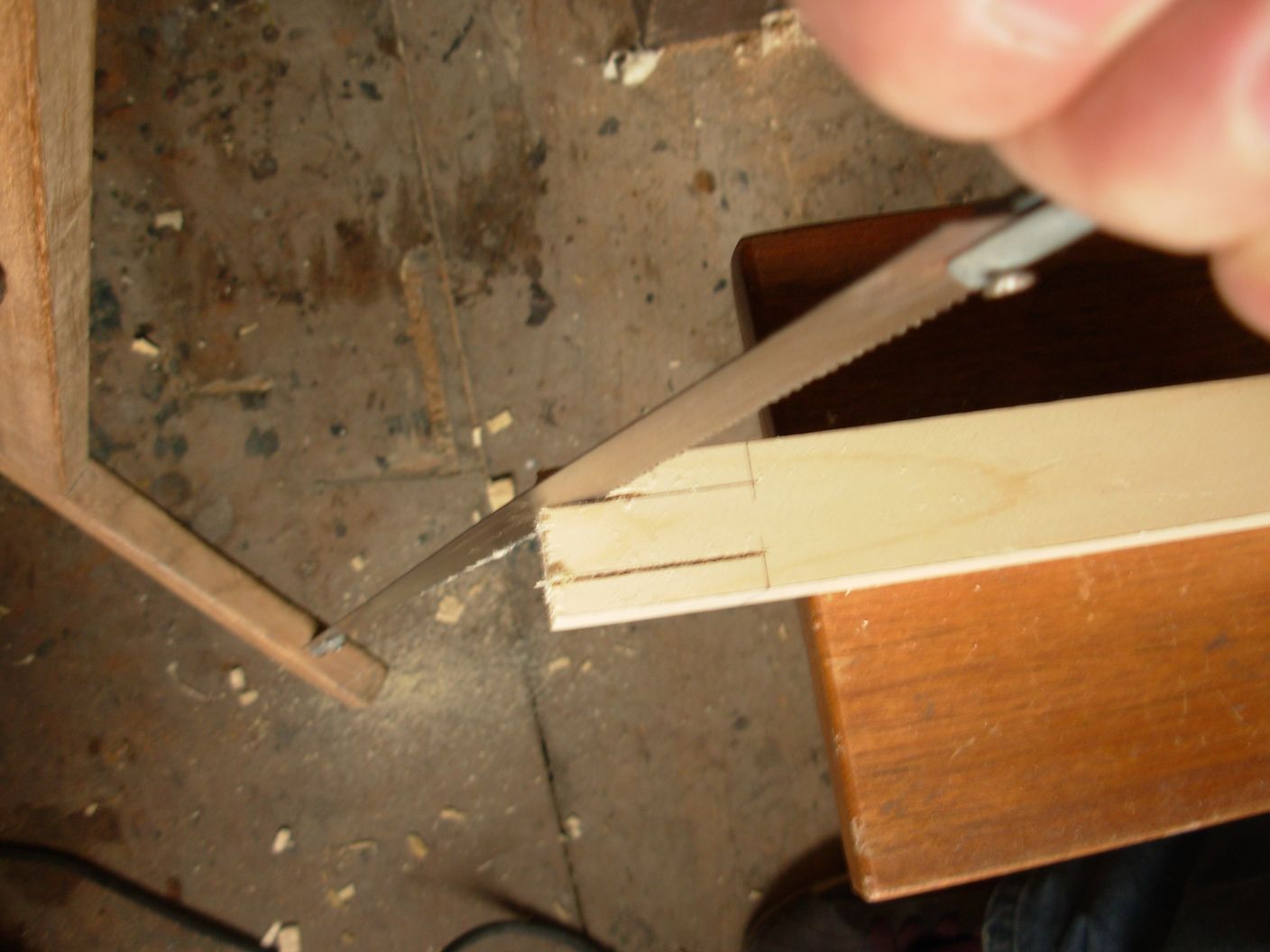 DSCN1869.JPG