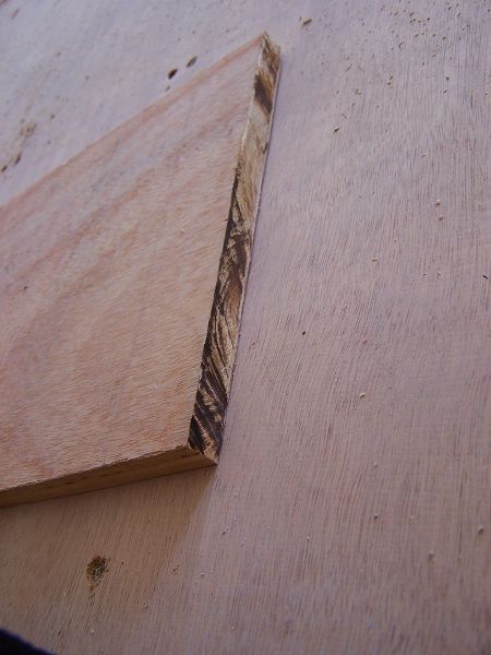 100_1355.JPG