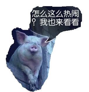怎么这么热闹.jpg