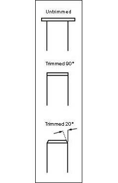 2222.jpg