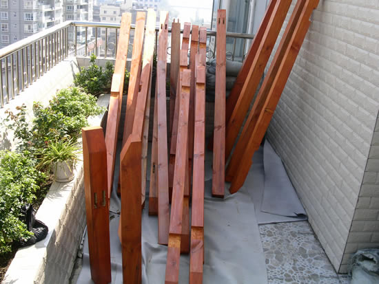 11集体照.jpg