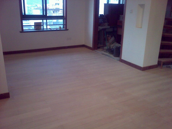 20081114050.jpg