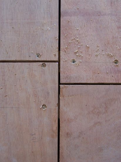 100_1343.JPG