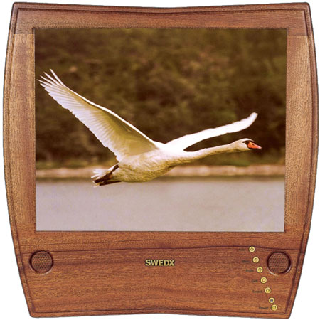 工艺品-木制显示器05.jpg