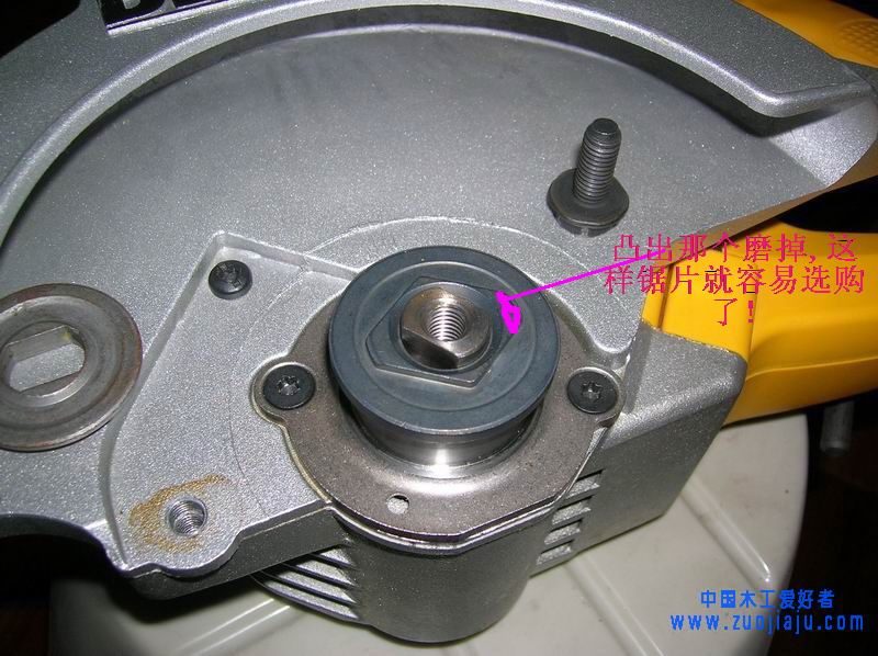 DSCN8525.jpg