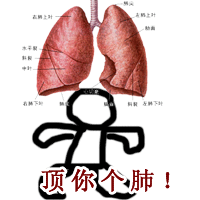 1678B0EA78C0B7187F934170174BD900.GIF