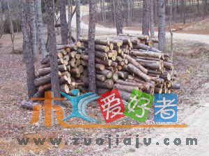 免费木头.jpg