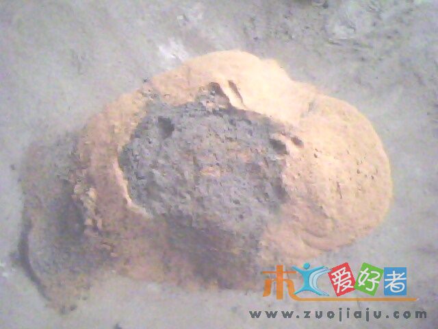 IMG0080A.jpg