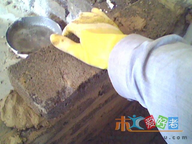 IMG0092A.jpg