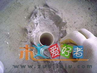 img016.jpg