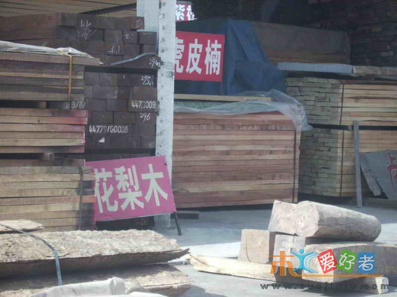 IMGP0009.JPG
