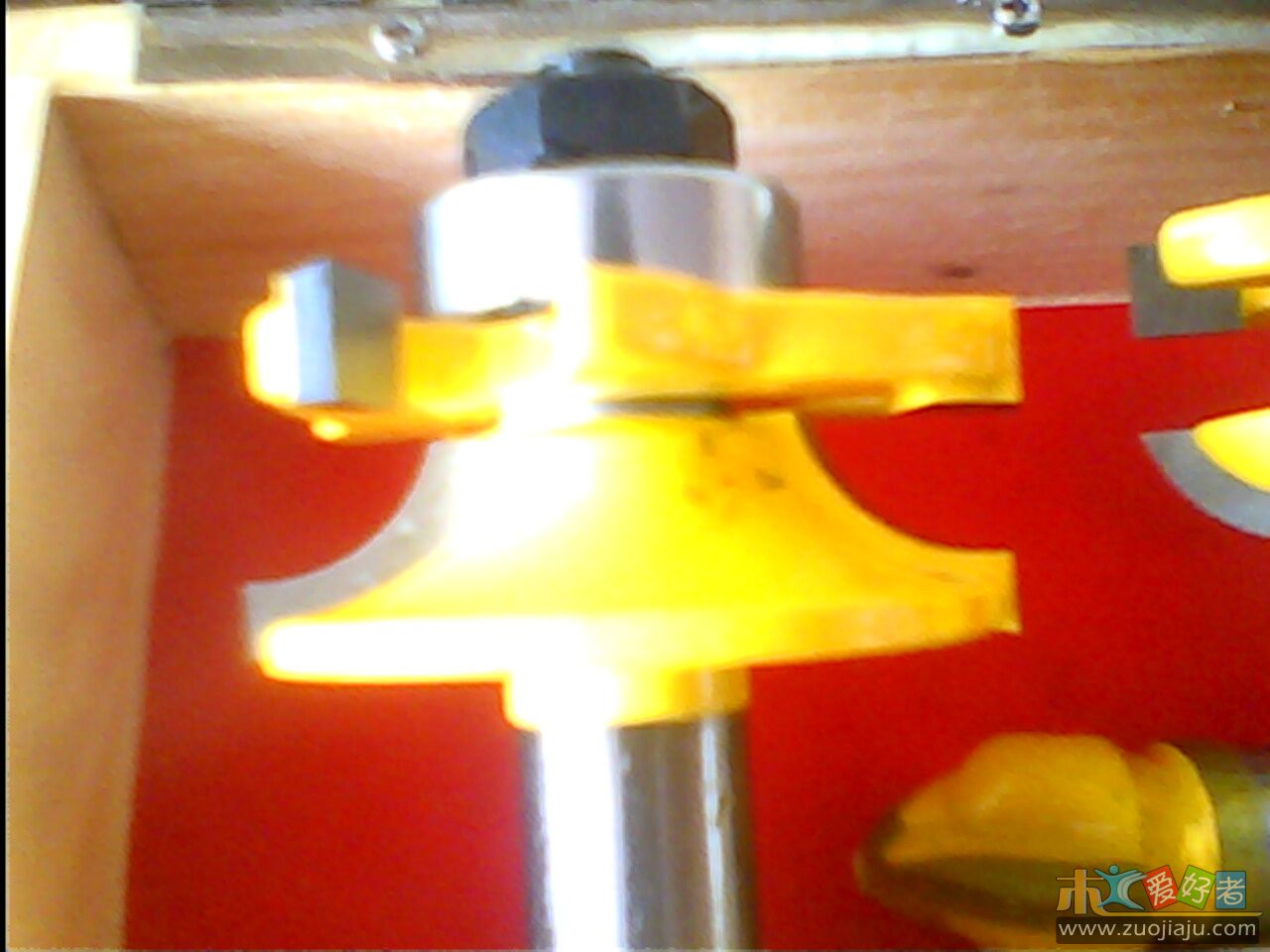 IMG0398A.jpg