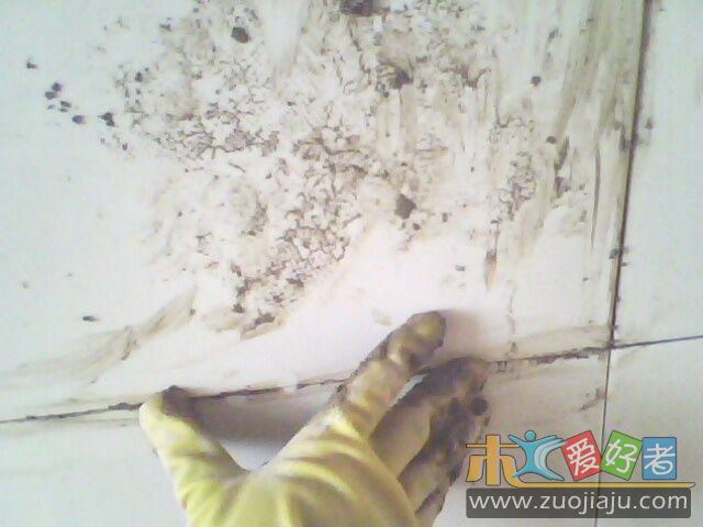IMG0118A.jpg