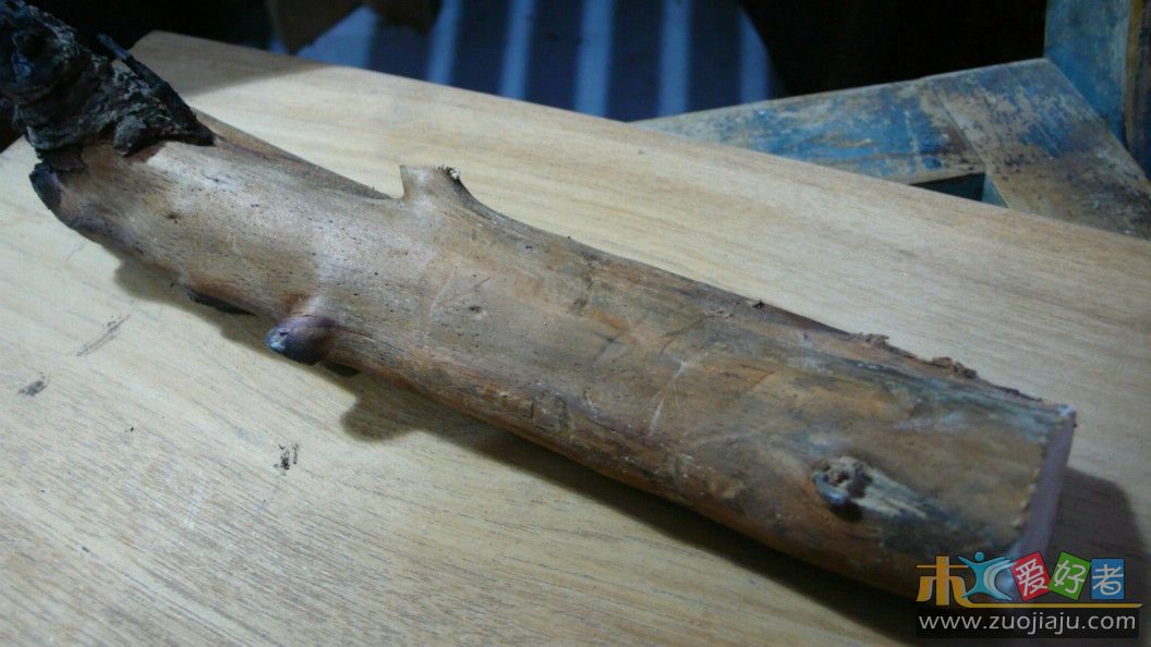 toolshow民宅拆迁烧焦的白桃木树枝.jpg