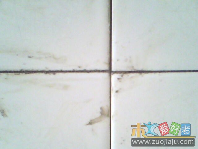 IMG0124A.jpg