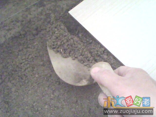 IMG0186A.jpg