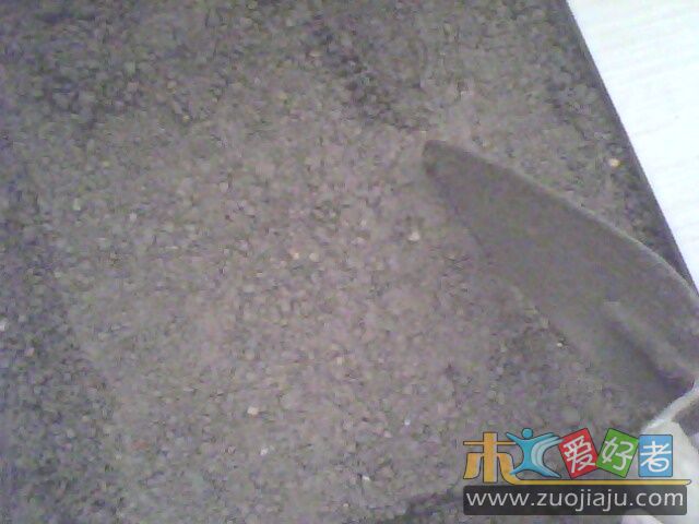 IMG0187A.jpg
