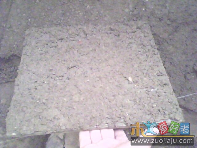 IMG0195A.jpg