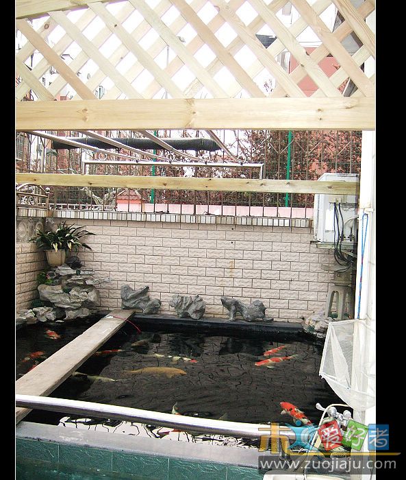 nEO_IMG_2009_04050035.jpg