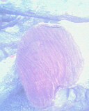 IMG0069A.jpg