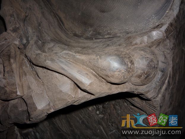 照片 666_调整大小.jpg