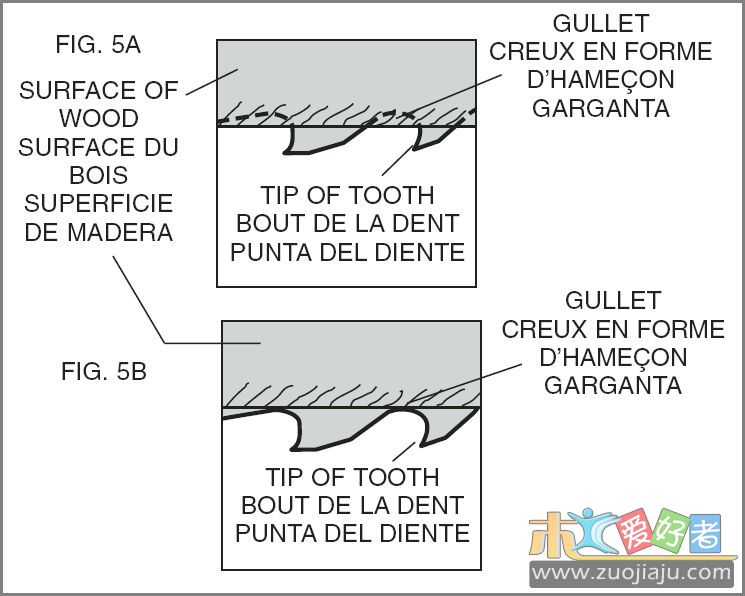 Fig 5A 5B.JPG