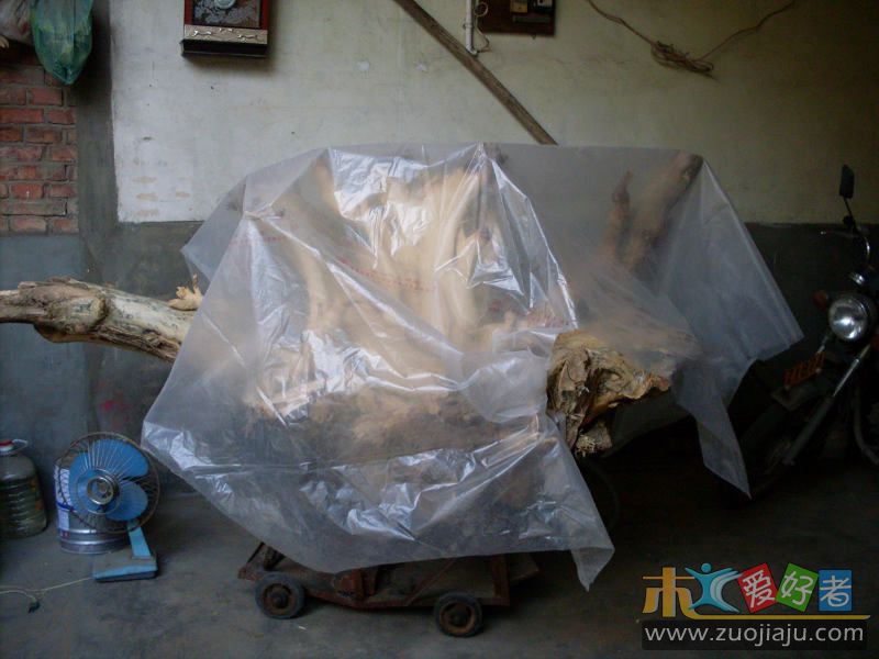 SDC11247.jpg