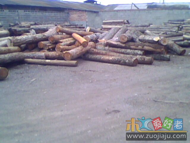 IMG0302A.jpg