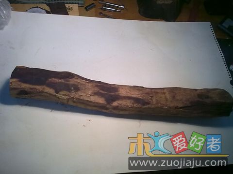 照片 1576.jpg