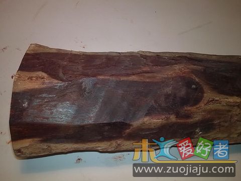 照片 1579.jpg