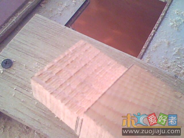 IMG0343A.jpg