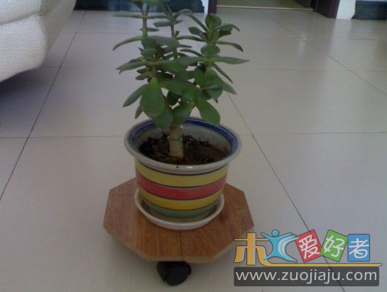 20090627760.jpg