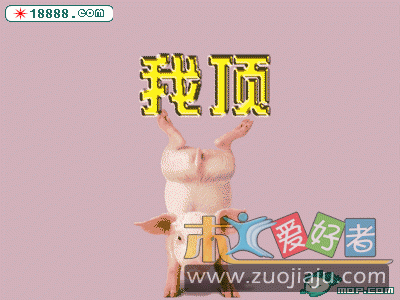 63_24780_2f633c03788ffd5.gif