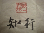 DSC07751.JPG