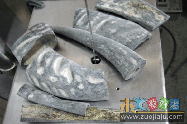 照片 016.jpg