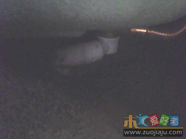 IMG0405A.jpg