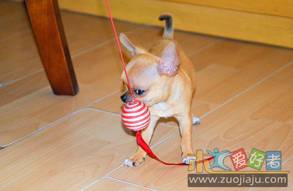 090716_臭臭_0002.jpg