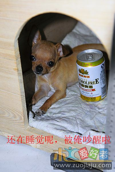 090914_臭臭_0004.jpg