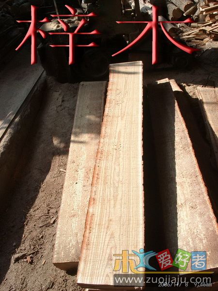 11080005_调整大小.jpg